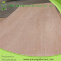 Poplar Core 4.2mm Bintangor Plywood From Linyi Qimeng